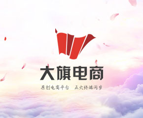 大旗电商-大旗软件出品